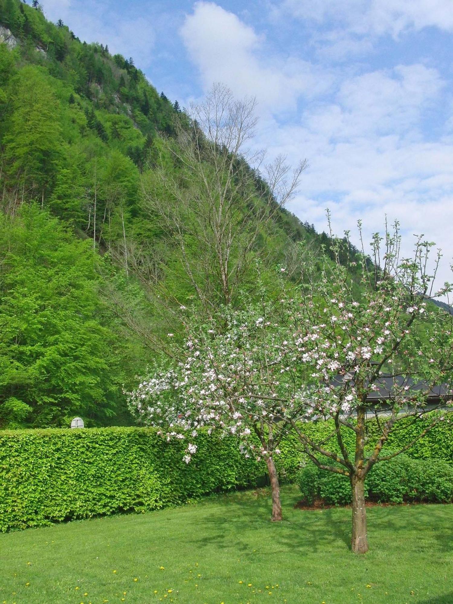 Haus Seehof Sankt Gilgen Esterno foto